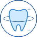 Módulo 1: Anatomía dental